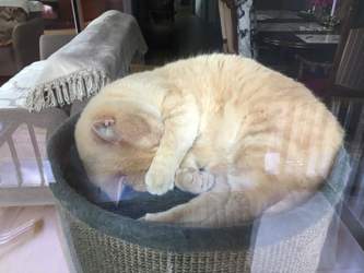 Schlafen ist auch schön.