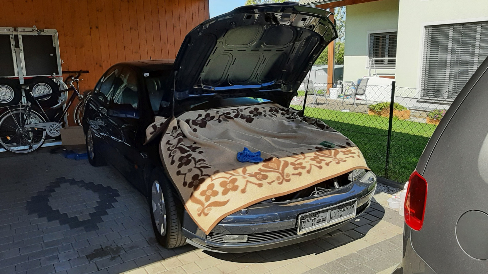 Was habt Ihr heute alles Gutes für Euren Omega & Senator getan?