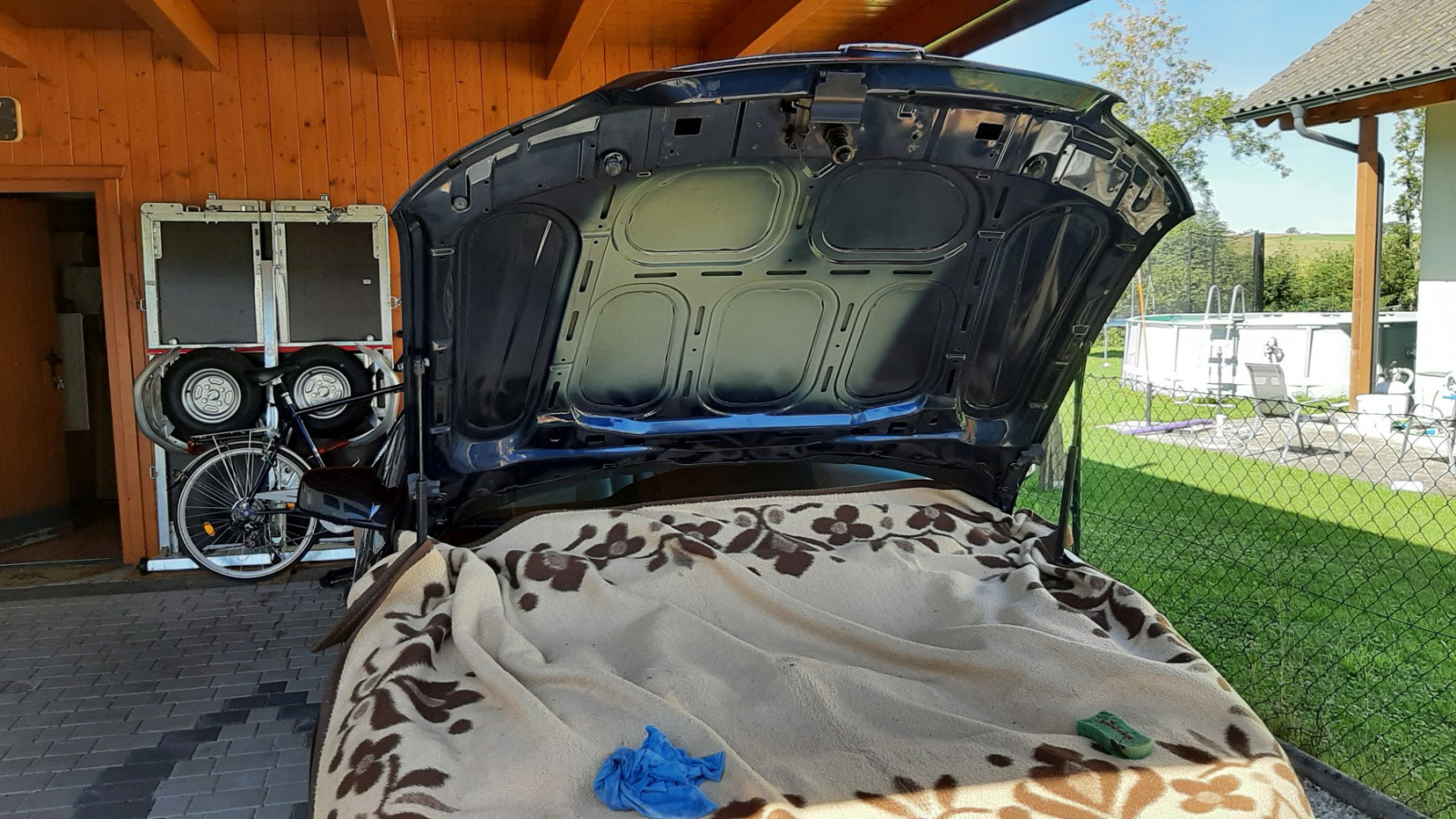 Was habt Ihr heute alles Gutes für Euren Omega & Senator getan?