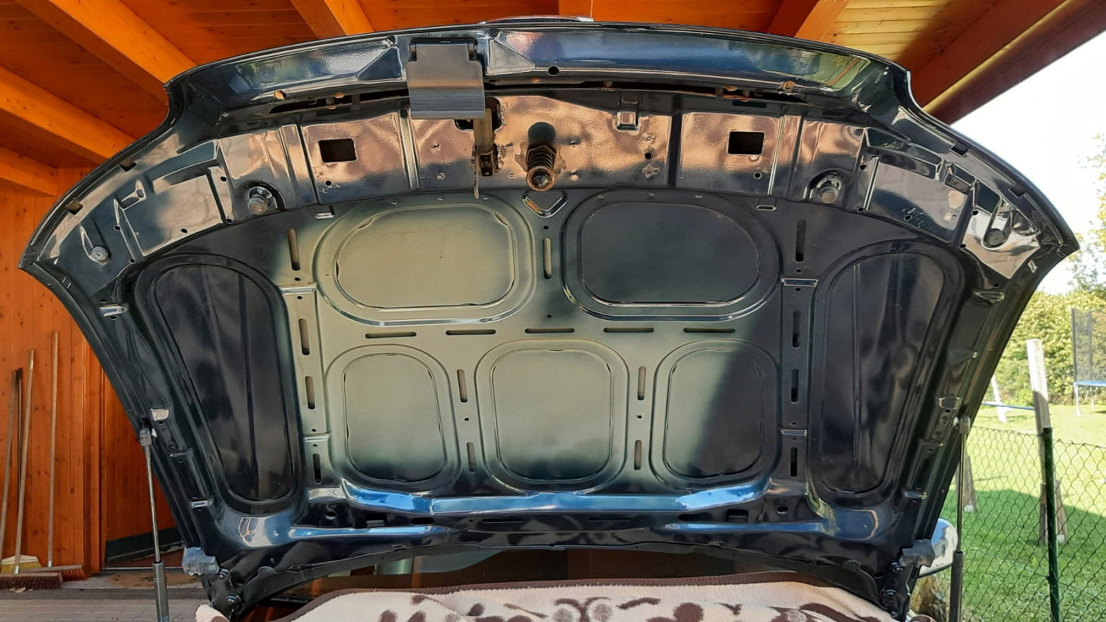 Was habt Ihr heute alles Gutes für Euren Omega & Senator getan?