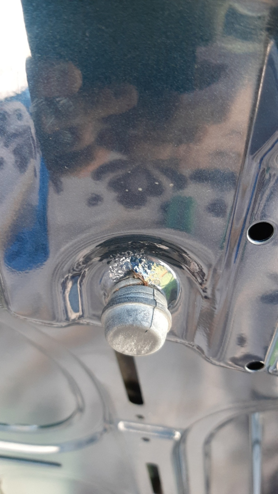 Was habt Ihr heute alles Gutes für Euren Omega & Senator getan?