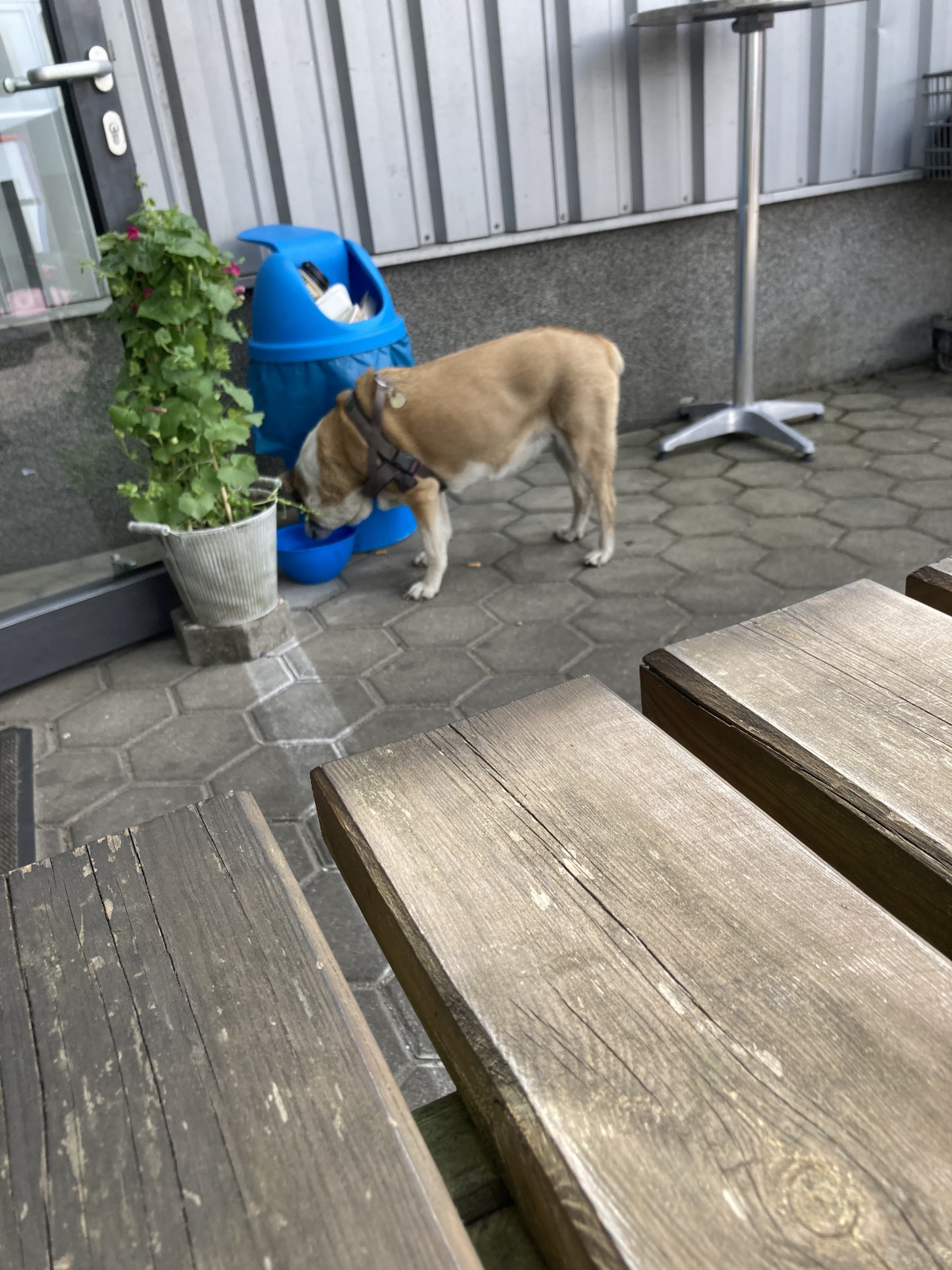 9cff7916-443a-49a5-9e62-0a997343b5fc