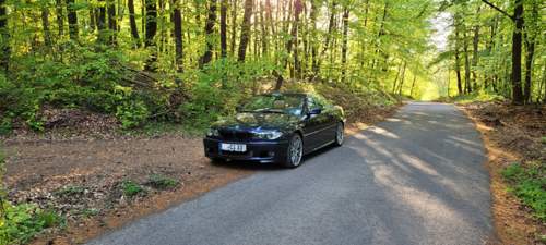 Top20220506-bearb07-li