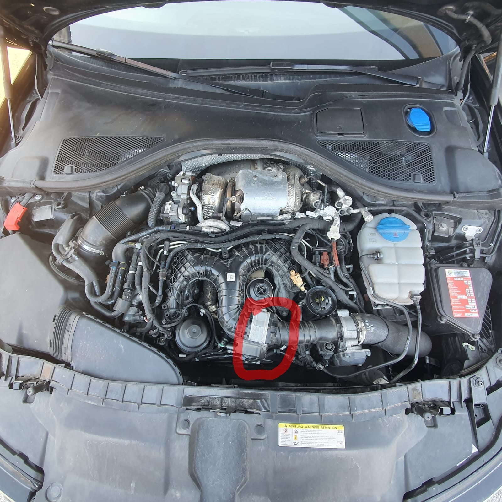 Audi A6 4g ruckelt beim Start