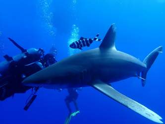 Da1e5c78-1b6a-47c6-b6ba-5e6b808748ef