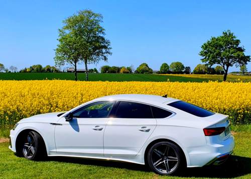 Cover me in sunshine