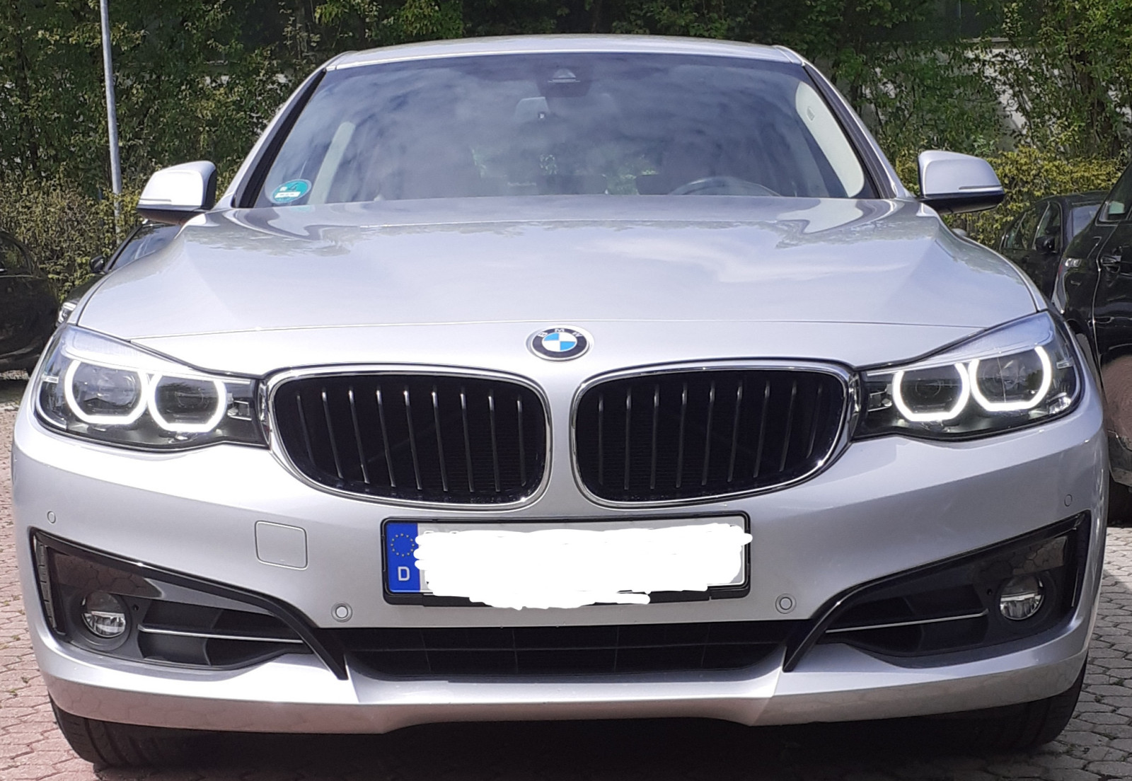 BMW 3er F34 GT 330i von Segelohr