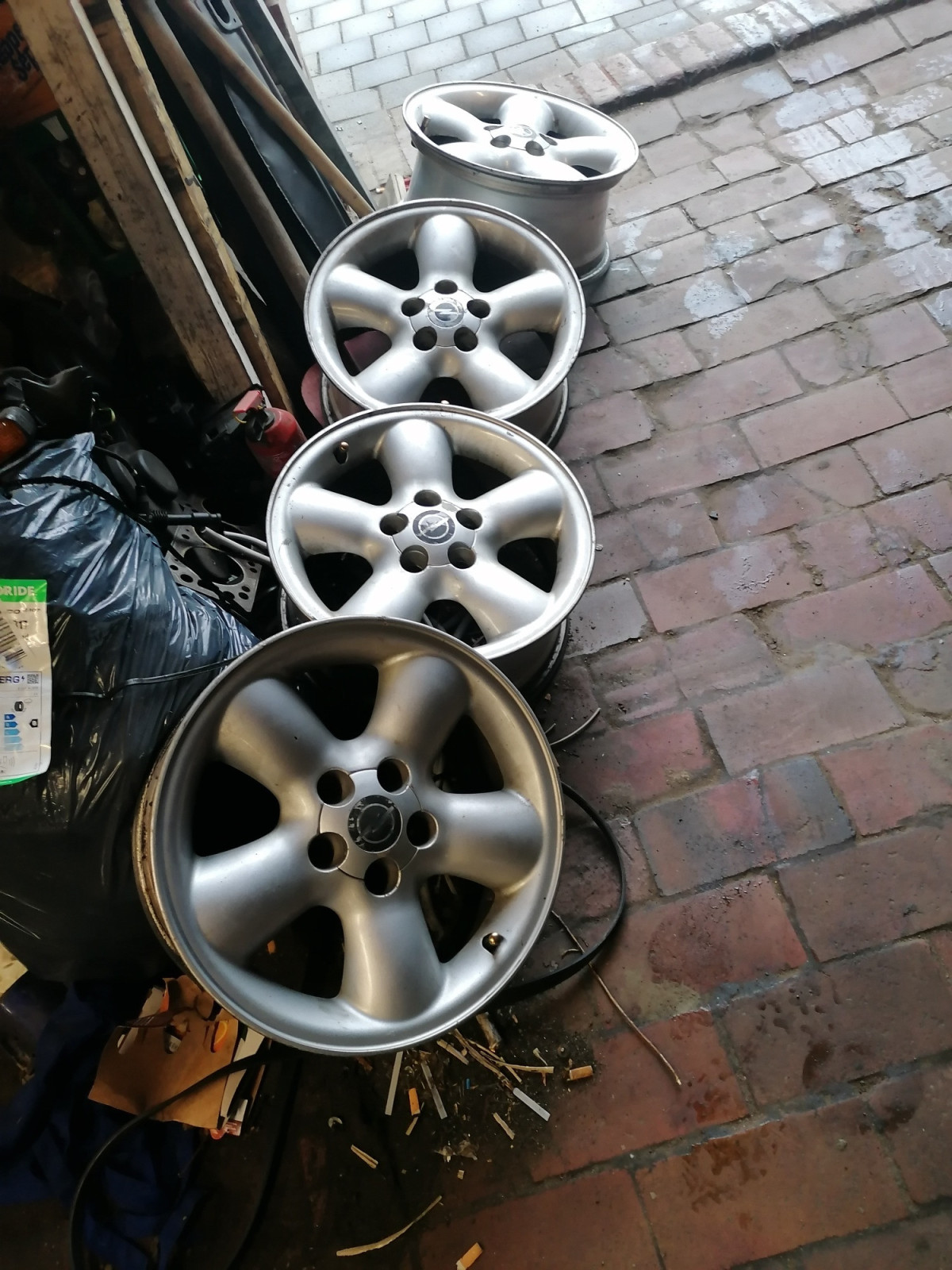 Was habt Ihr heute alles Gutes für Euren Omega & Senator getan?