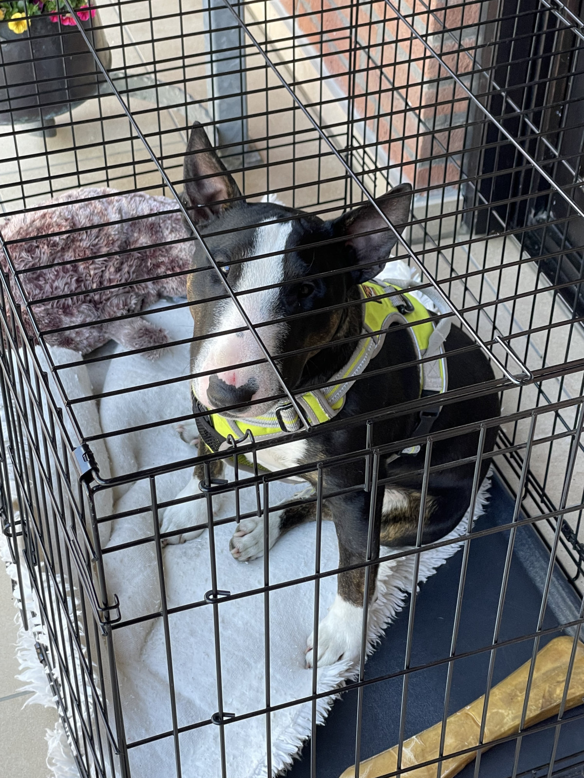 c89cffbb-f499-44a9-b03f-524270c0c5ce