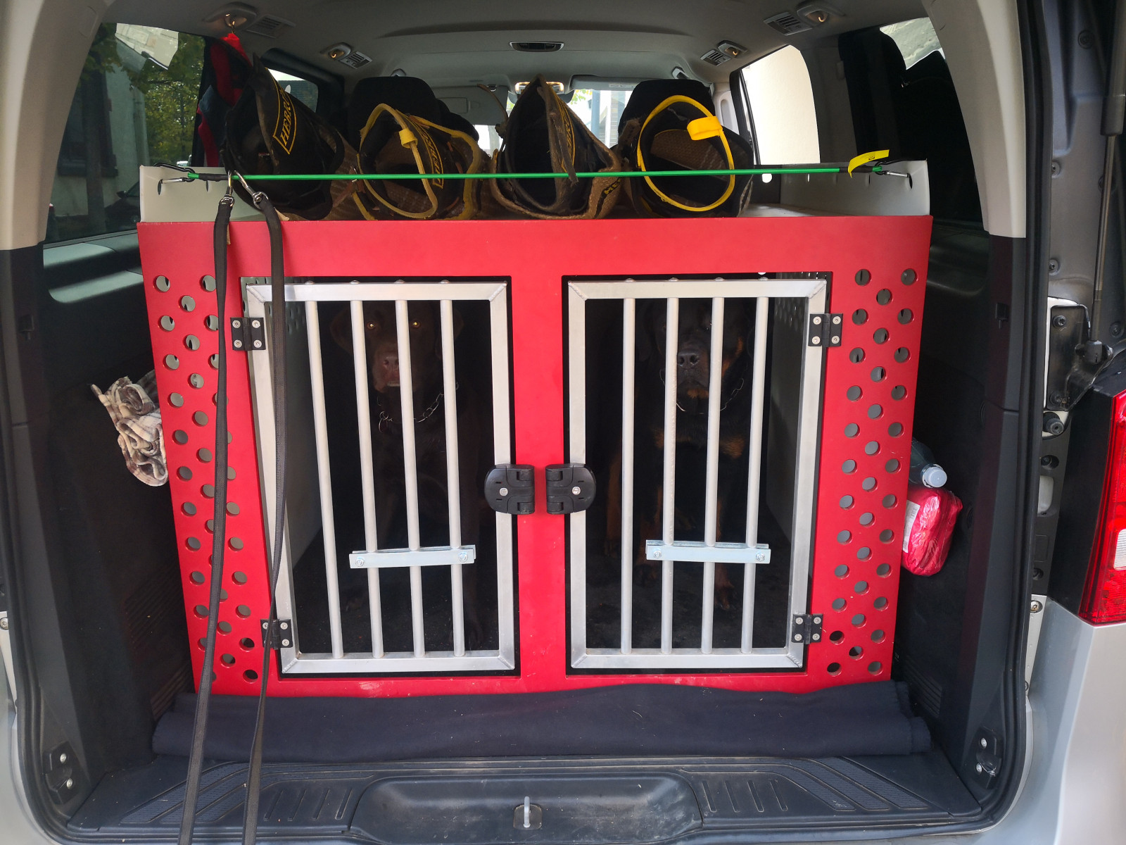 Hundetransport in der V Klasse (mit Bildern)