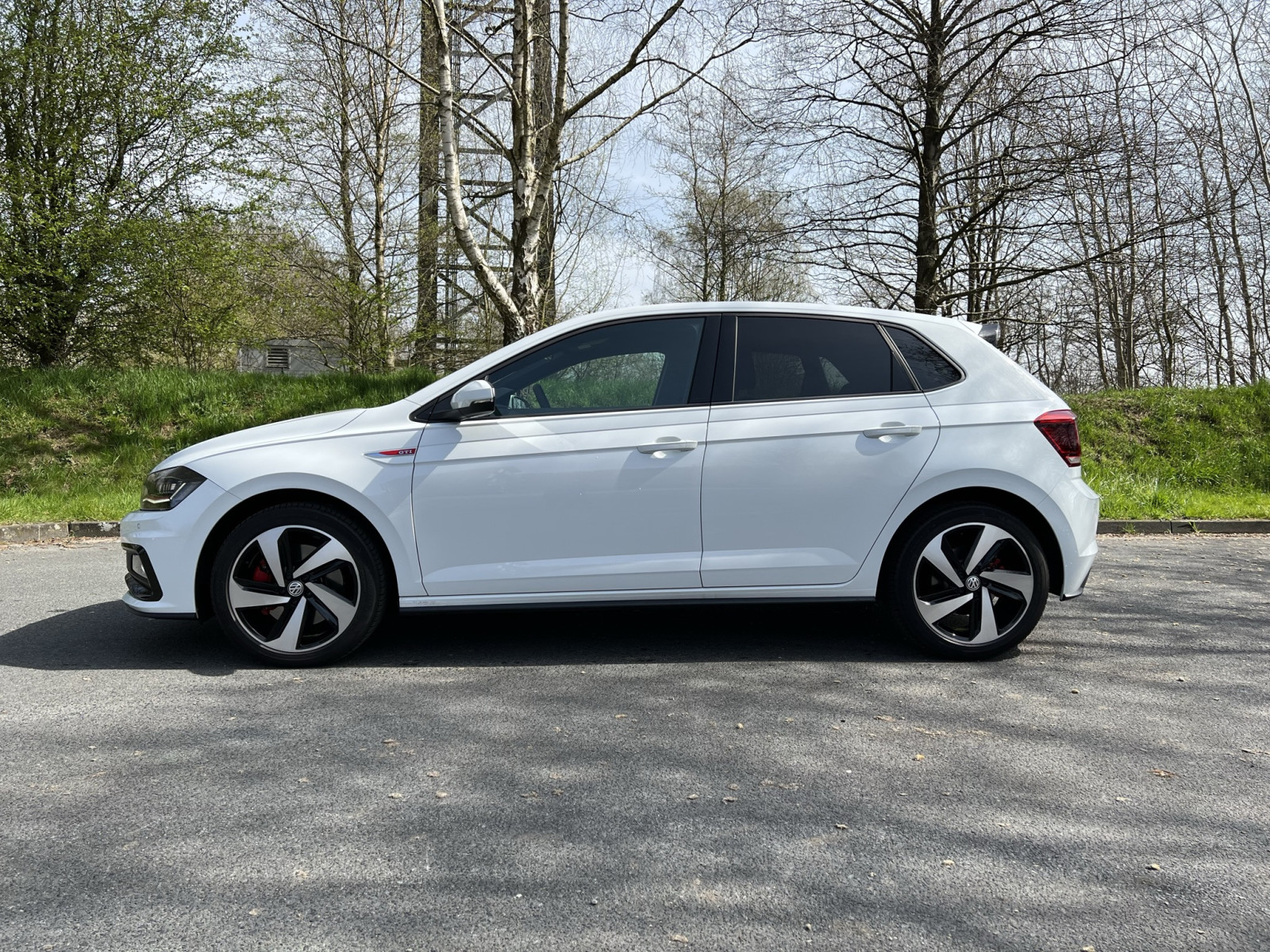 Mein Polo ist da - Bilderthema