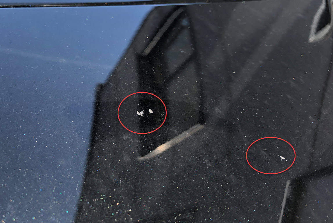 Zahlreiche Steinschläge wegen LKW