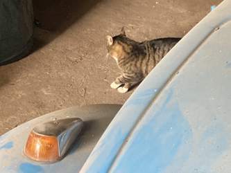 C8a5a0ef-f480-4e4b-9d40-c78b35fb05ba