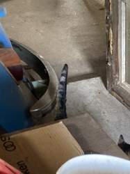 Cbfa0dc7-39ea-4e9f-a714-4c822401fe53