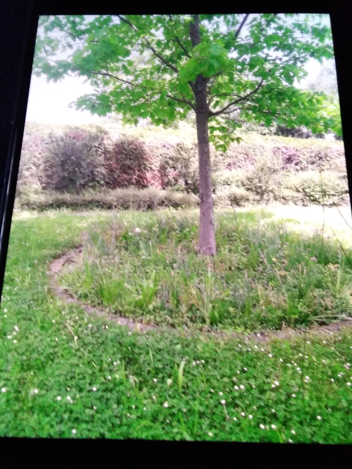 165505726775852150201