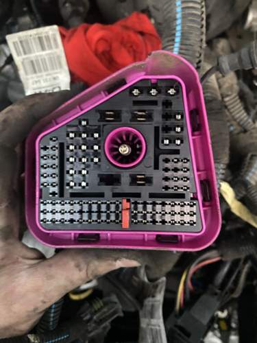 24261de8-8da0-448e-8ec4-6a60bcab72cc