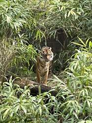 C92cee25-23d6-4d6b-957c-948ad5d4ad60