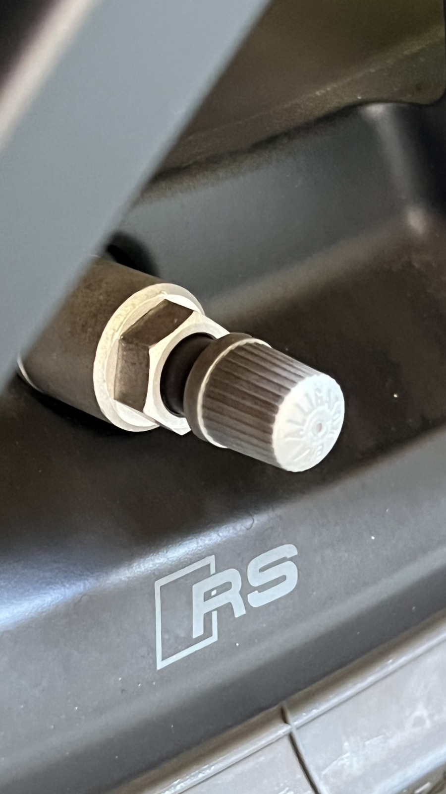 Der große Audi RS3 8Y-Thread