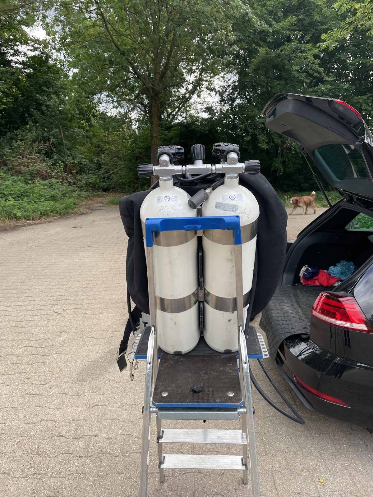 e7edbb7d-0997-4475-967e-8b1ce3916d3e