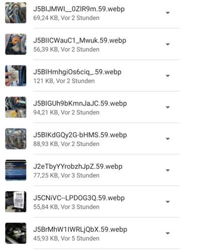 Screenshot runtergeladener Bilder
