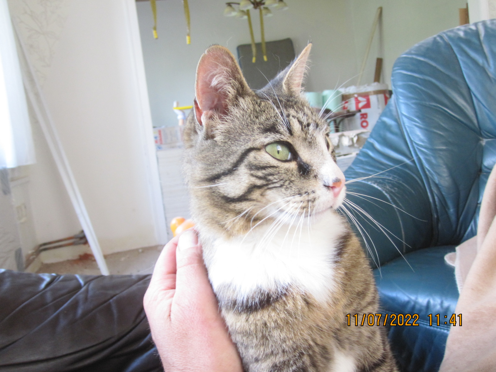 Der Schrottplatz - Spiegelsymmetrisch des Showrooms