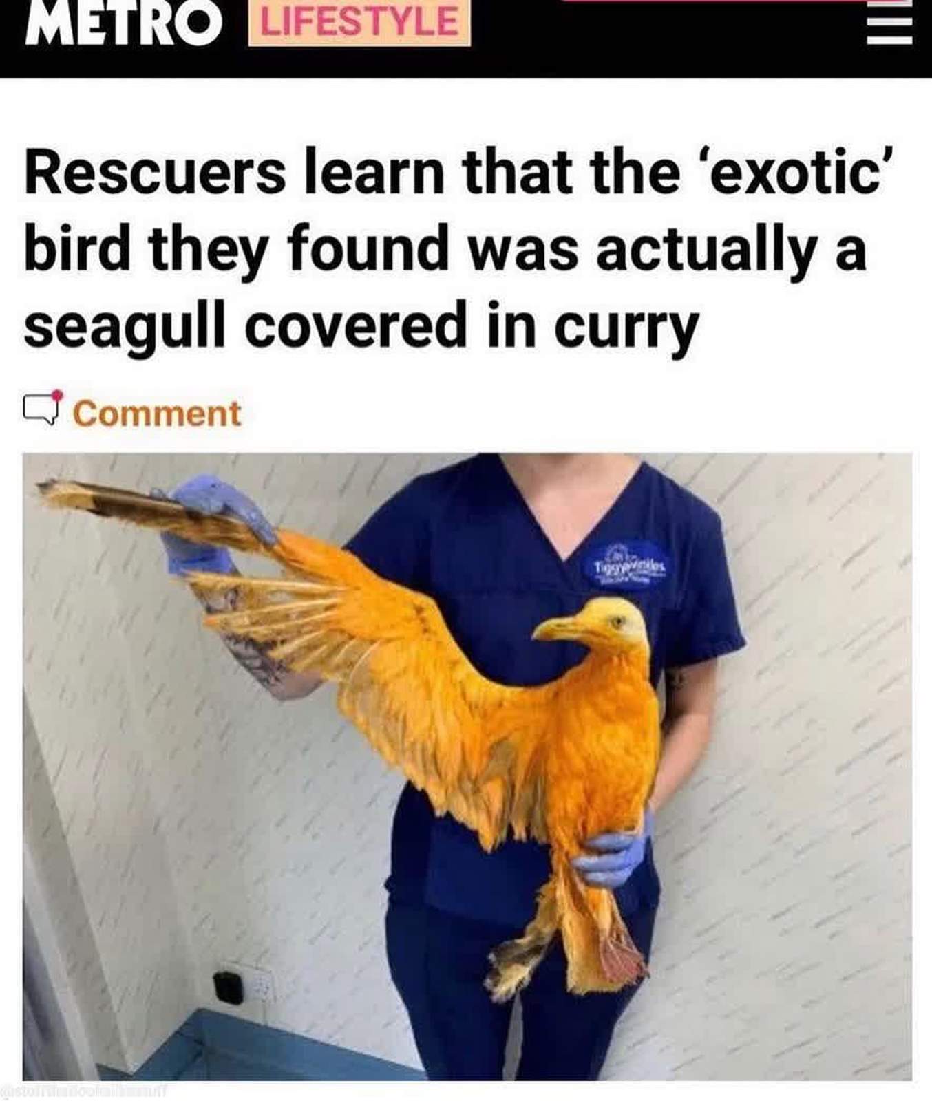 6e27c771-5b0a-4660-aa7c-96d8d7f4c850