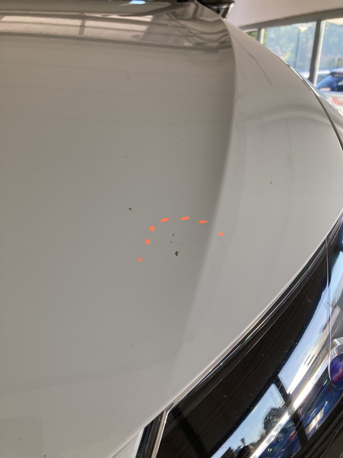 Leasingrückgabe Steinschlag Motorhaube Bye bye Leon / kein Stress bei der Leasingrückgabe