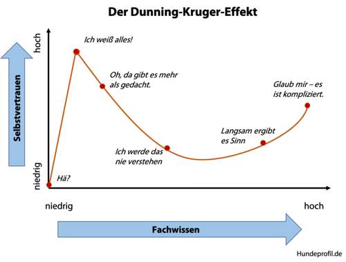 64232998-1298767706947230-7620187167620333568-n