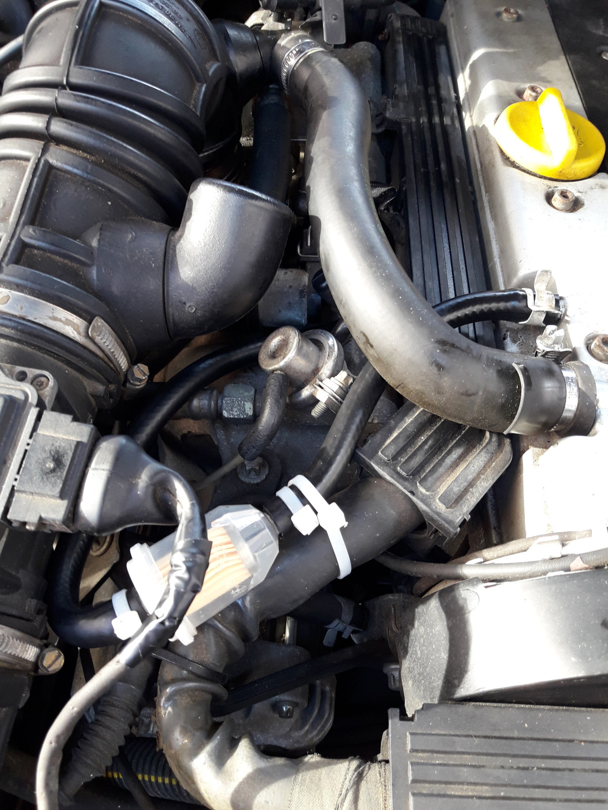 Omega B - X20XEV - Sägt im Leerlauf, nach längerer Fahrt