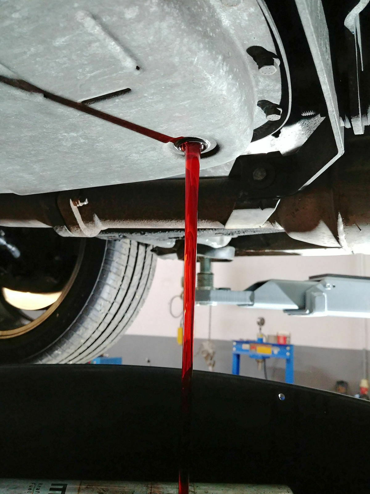 Was habt Ihr heute alles Gutes für Euren Omega & Senator getan?