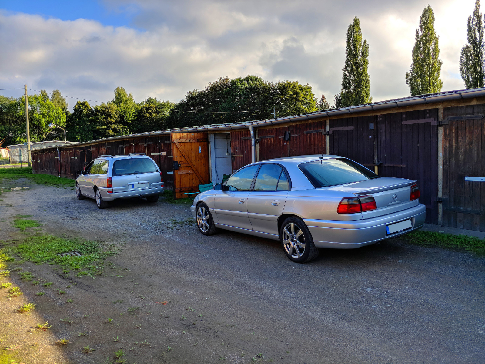 Was habt Ihr heute alles Gutes für Euren Omega & Senator getan?