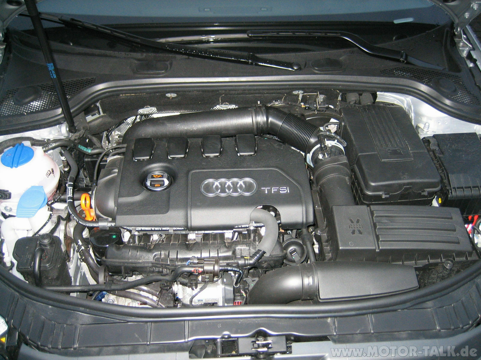 Bilder vom Motorraum Audi A3 8P 2,00 FSI Bj: 2004