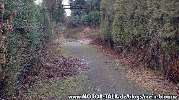 (Wochen-)Rückblick vom 03.04.09