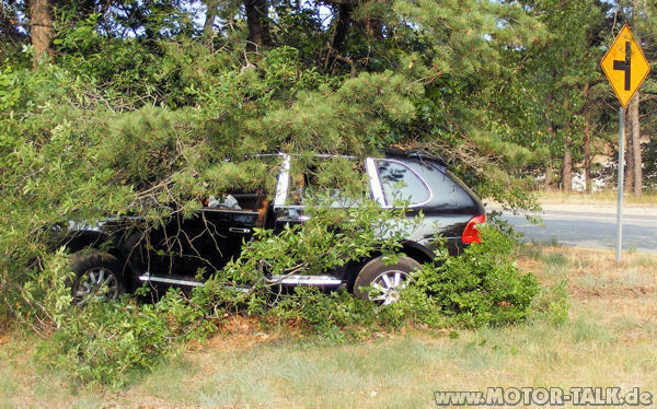 Wie ist der Cayenne Diesel "eingeschlagen"?
