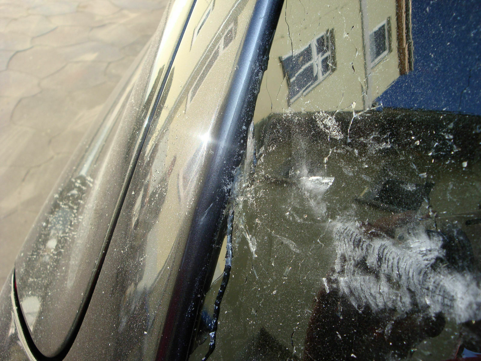 Bilder von euren Kühen