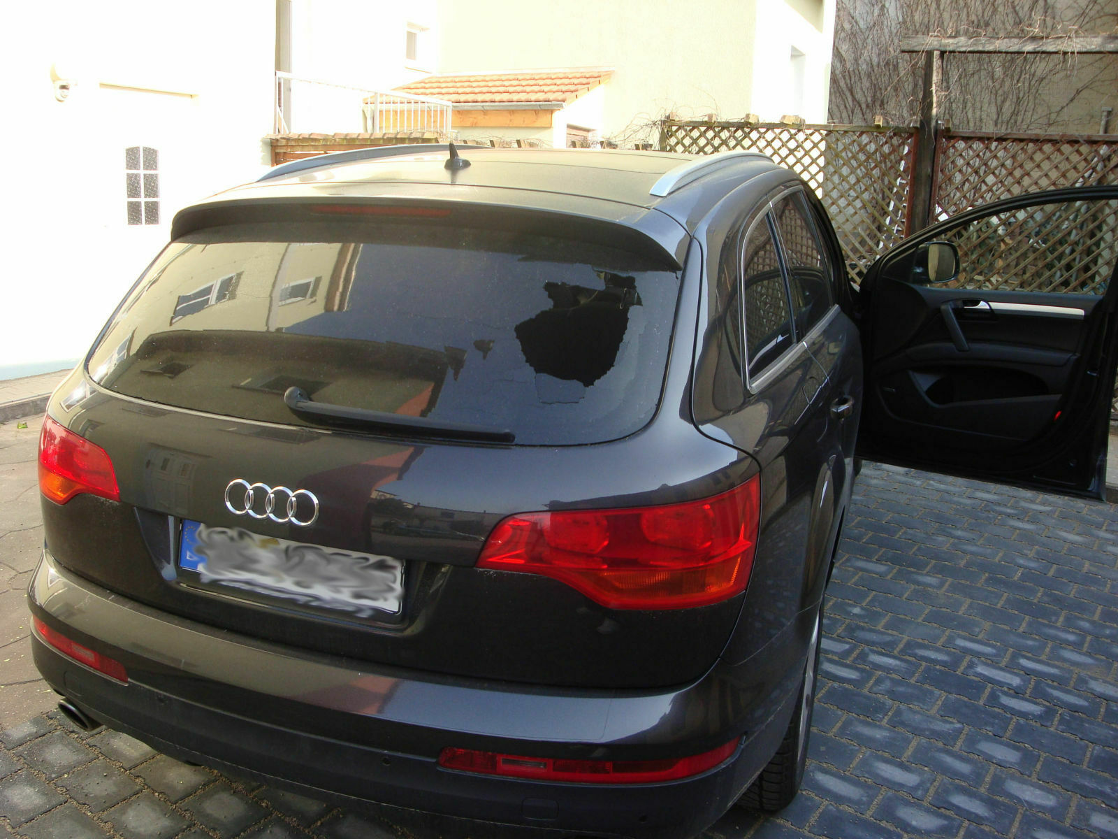 Bilder von euren Kühen