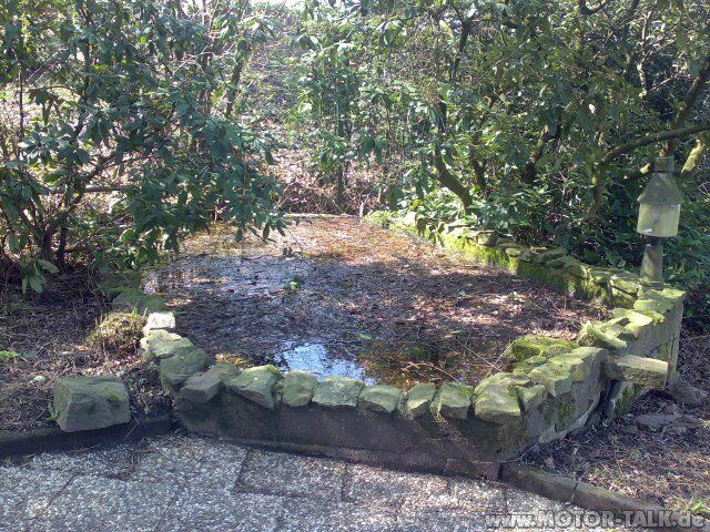 Mal ein anderer Spaß im Wasser