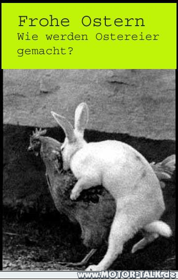 Frohe Ostern und dicke Eier...