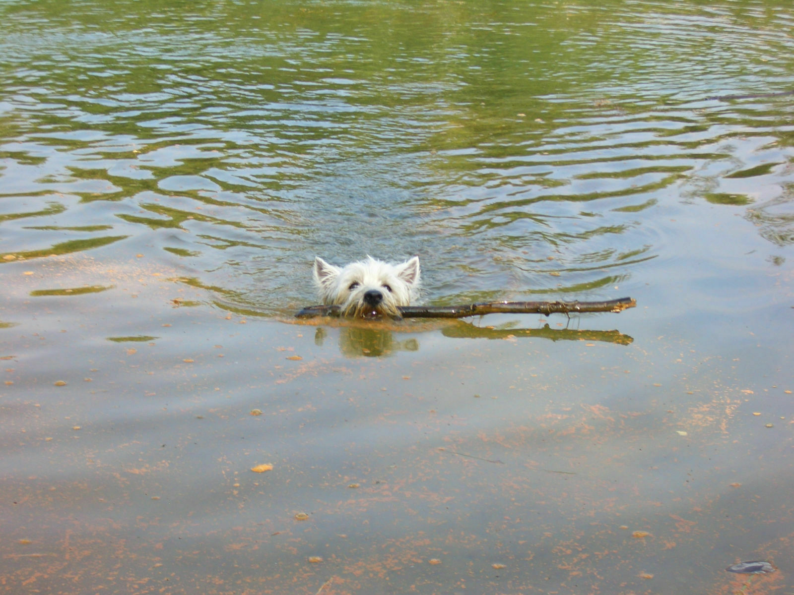Spontanes Treffen Karfreitag 2009 13 Uhr Berlin-Wannsee