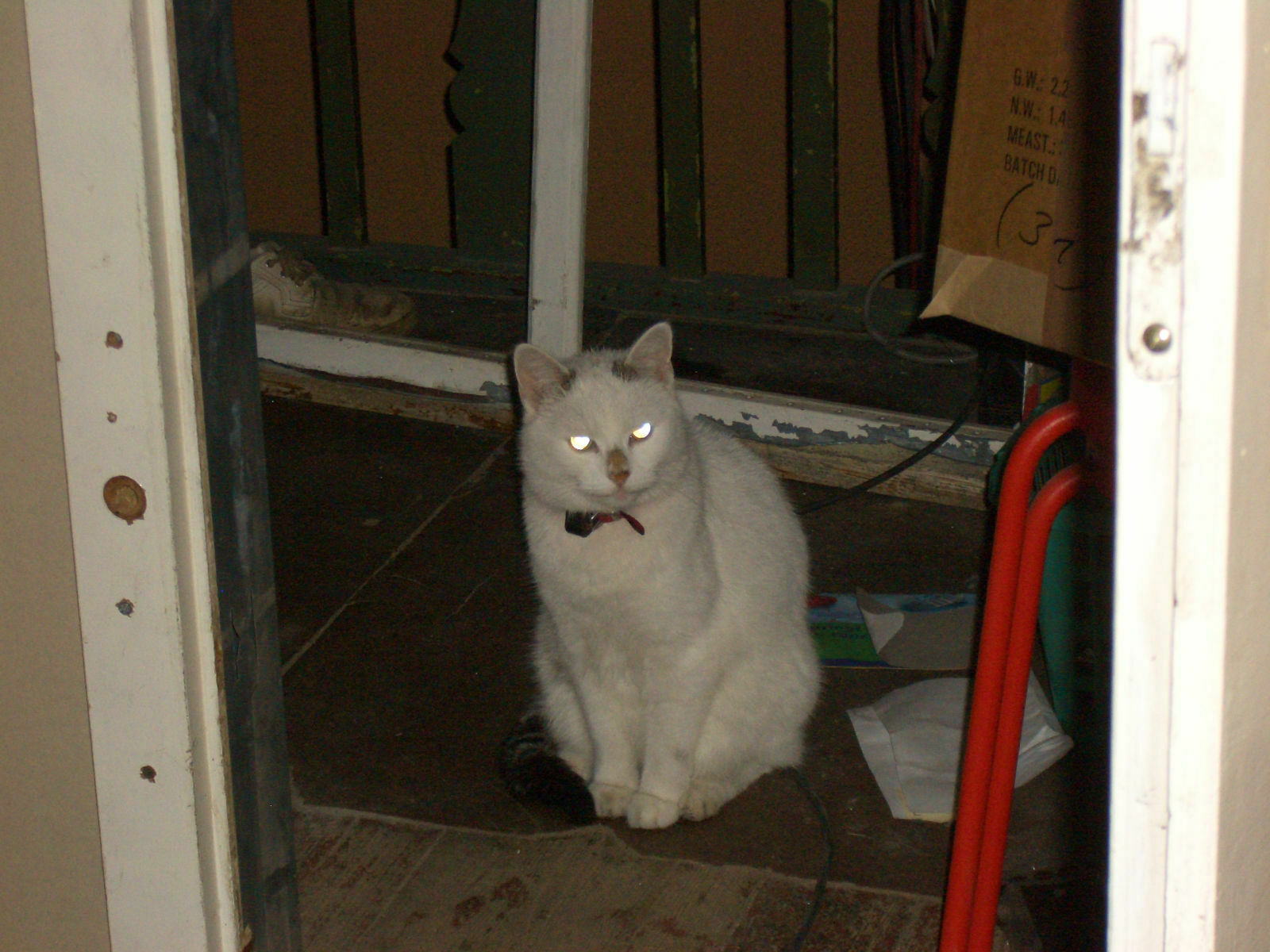 Spontanes Treffen Karfreitag 2009 13 Uhr Berlin-Wannsee