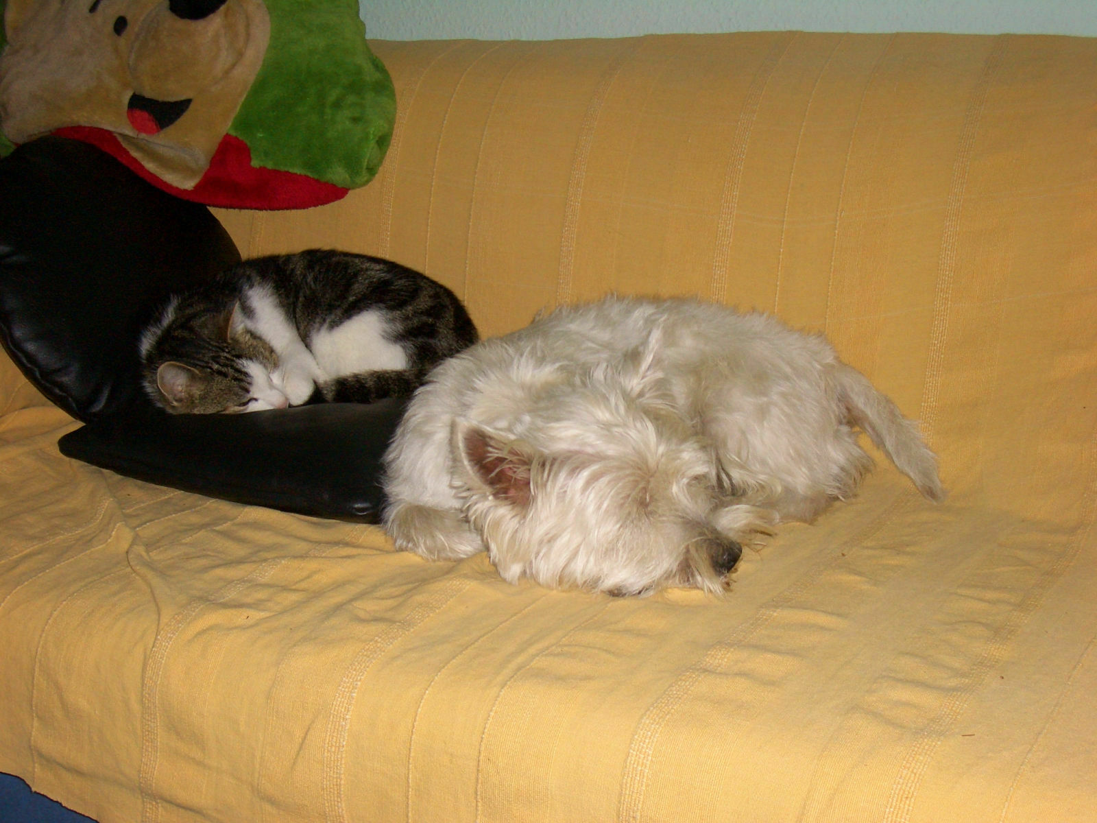 Spontanes Treffen Karfreitag 2009 13 Uhr Berlin-Wannsee