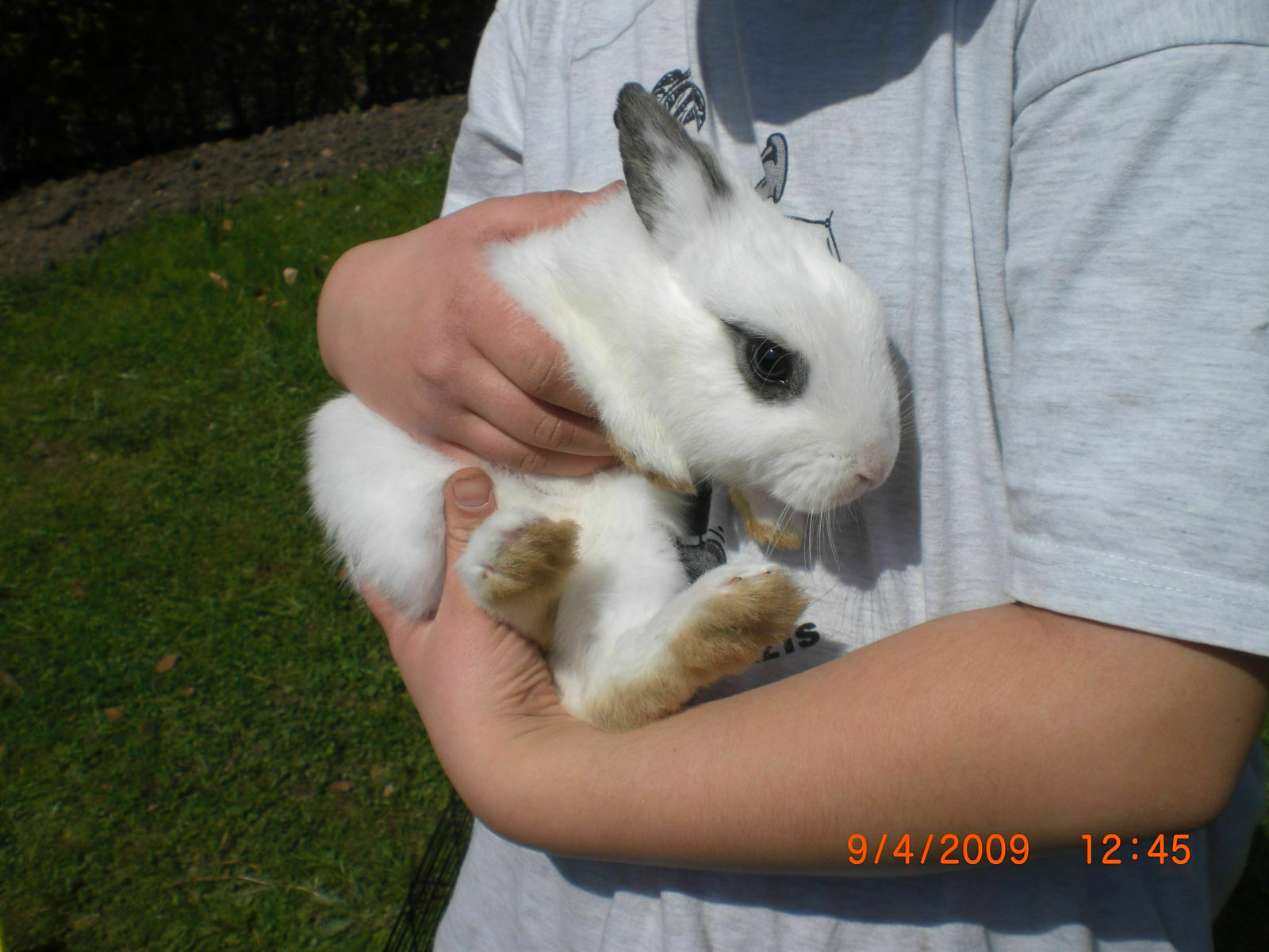 Treffen am 28.03.2008 in Ingolstadt