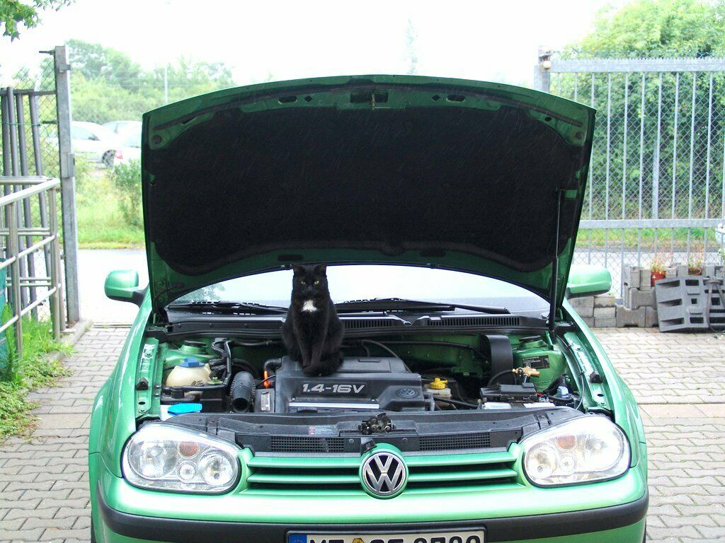 Polo 9N mit ICOM JTG geht öfter an Ampel aus