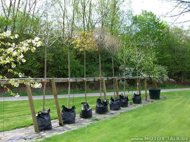 MT-Nachtclub für MT Off Topic zu später Stunde