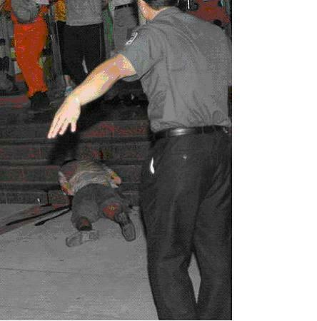 Von den Chinesen lernen - Efficient Dynamics Part I