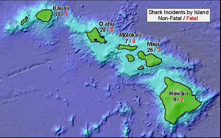 Internet ist doof, blöd und bescheuert
