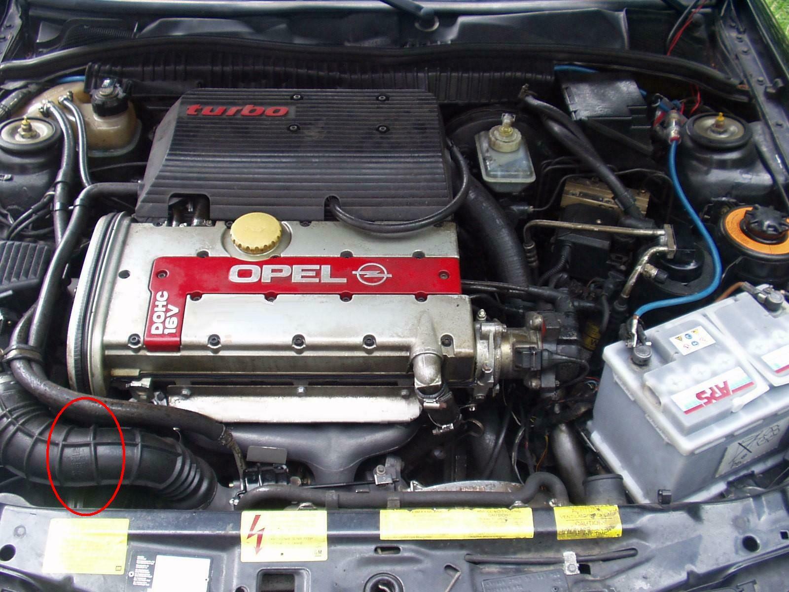 Bin neu hier... Wollte mich mal vorstellen mit meinem Cali..