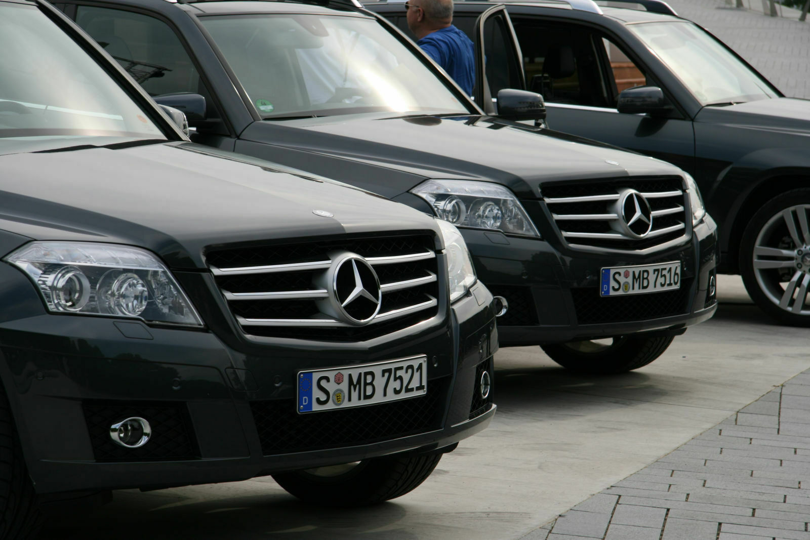 Erfahrungen mit Tenoritgrau