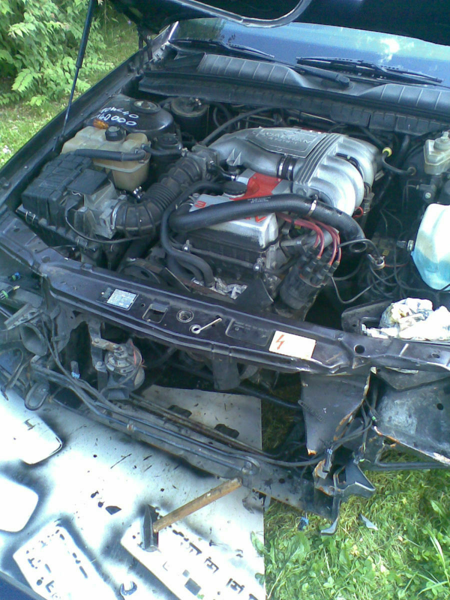 Wildschaden beim Senator