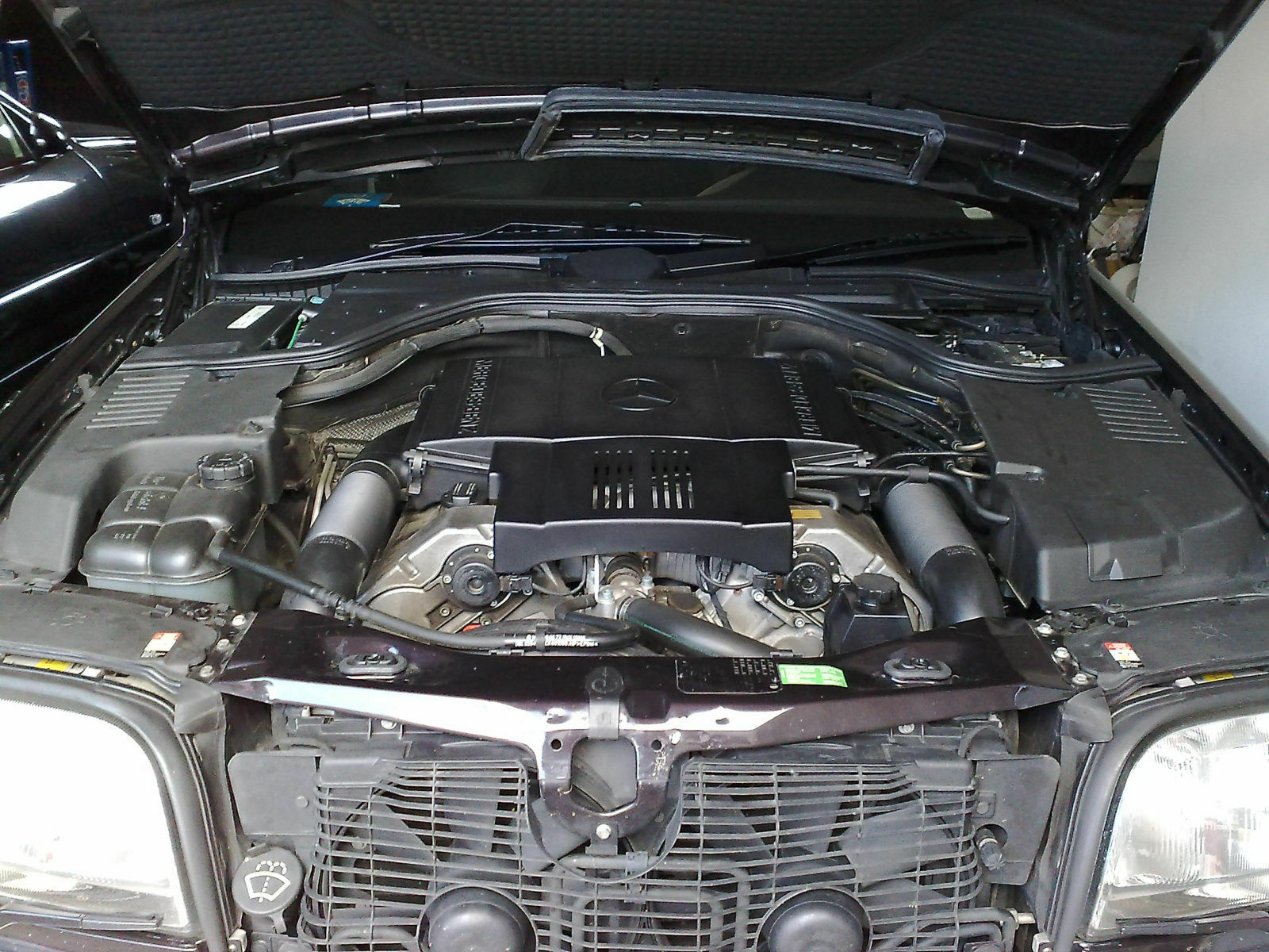 Exclusive selection w140